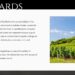 Wineries For Sale