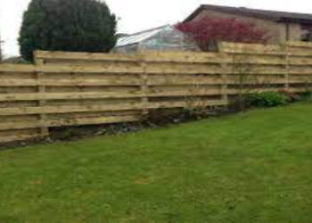 wood fencing dundee