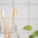 A sneak peek into the Bamboo Toothbrushes Why Use Them