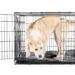 dog cage