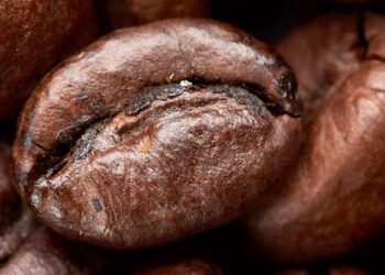 10 Perfect Secrets to Roasting the Coffee Beans