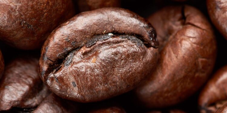 10 Perfect Secrets to Roasting the Coffee Beans