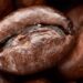 10 Perfect Secrets to Roasting the Coffee Beans
