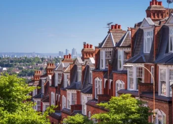 A Comprehensive Guide