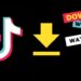 From Mobile to PC: How to Download Watermark-Free TikTok Videos with SSSTikTok