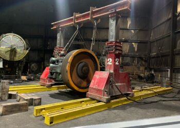 Choosing the Right Plant Relocation Services: Key Considerations