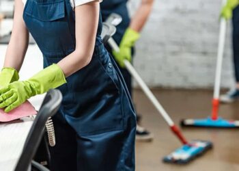 Britlin Cleaning Team